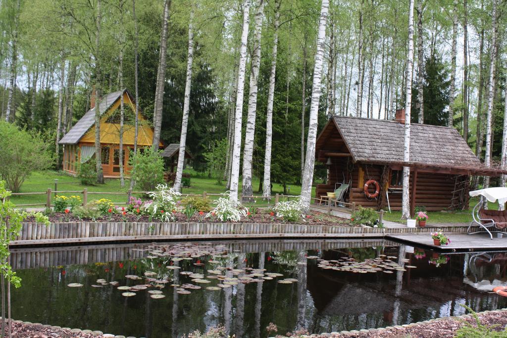Holiday Home Berzlejas Upesgriva Экстерьер фото